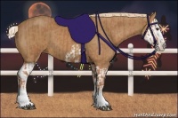 Horse Color:Chestnut Splash Frame  and Chestnut Splash 