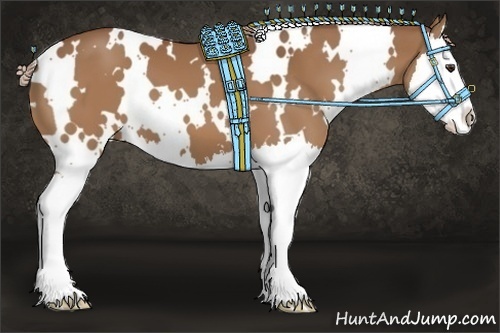 Horse Color:White Spotted Chestnut Splash