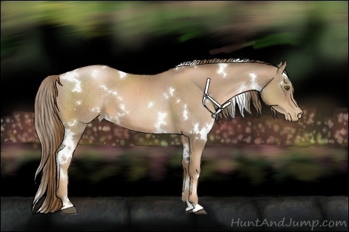 Horse Color:White Spotted Liver Chestnut Pearl 
