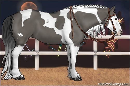 Horse Color:Grullo Splash Tobiano