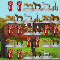 Horse Color:White Spotted Bay