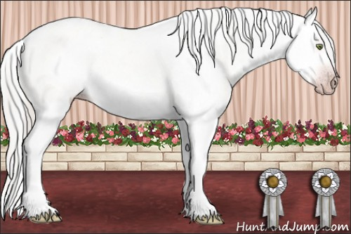 Horse Color:Gray Gold Champagne Dun Splash Varnish