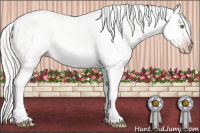 Horse Color:Gray Gold Champagne Dun Splash Appaloosa 