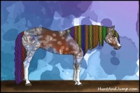 Horse Color:Painted White Spotted Bay Ice