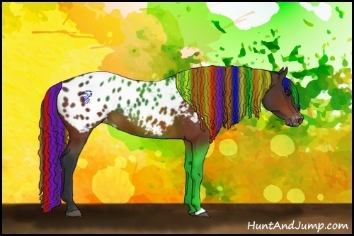Horse Color:Painted Bay Appaloosa 