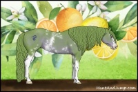 Horse Color:Watercolor White Spotted Liver Chestnut Sabino