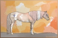 Horse Color:White Spotted Chocolate Palomino Pearl