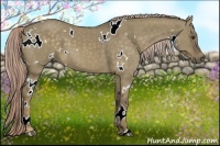 Horse Color:White Spotted Chocolate Palomino Dun 