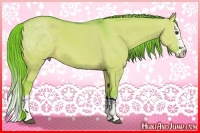 Horse Color:Watercolor Red Dun Splash