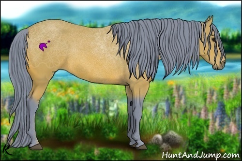 Horse Color:Watercolor Bay