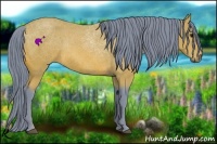 Horse Color:Watercolor Bay 