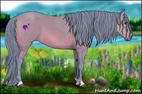 Horse Color:Watercolor Bay 