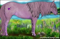 Horse Color:Watercolor Chestnut 