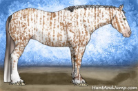 Horse Color:Gray Amber Champagne Sabino Rabicano  and Gray Chestnut Sabino Tobiano Blanket 