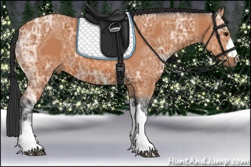 Horse Color:Bay Ice 