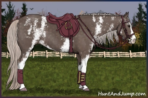 Horse Color:White Spotted Silver Black Sabino 