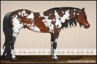Horse Color:White Spotted Brown 