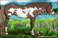 Horse Color:Liver Chestnut Frame Rabicano 