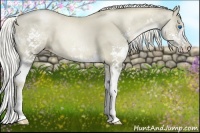 Horse Color:Chocolate Palomino Pearl Splash 