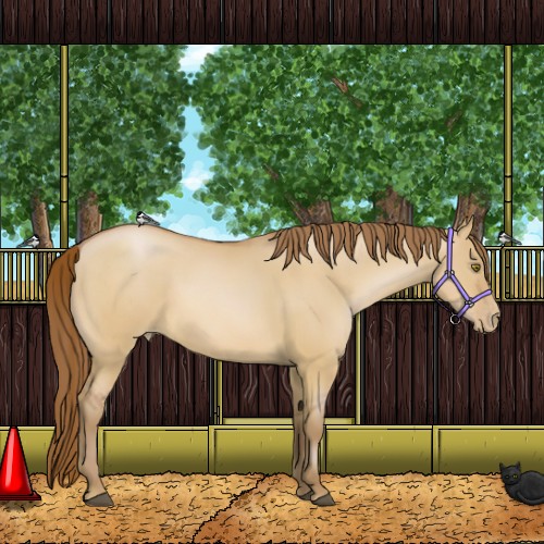 Horse Color:Bay Pearl Dun 