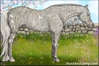 Horse Color:White Spotted Cremello Ice 