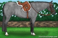 Horse Color:Smoky Blue Roan Rabicano 