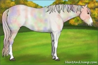 Horse Color:Nacre Watercolor Palomino 