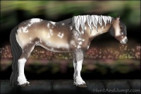 Horse Color:White Spotted Liver Red Onyx Tobiano 