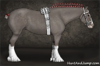 Horse Color:Silver Blue Roan Splash 