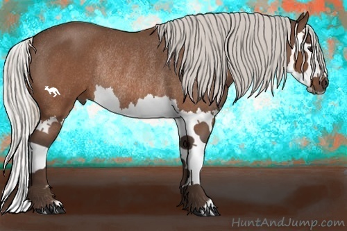 Horse Color:Silver Brown Roan Splash Rabicano 