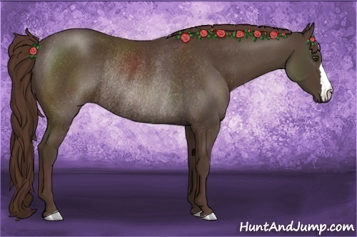 Horse Color:Liver Chestnut Rabicano 