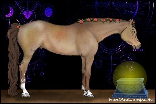 Horse Color:Liver Chestnut Sabino 