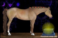 Horse Color:Liver Chestnut Sabino 