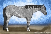 Horse Color:Blue Ice Roan 