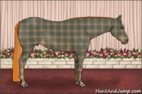 Horse Color:Painted Plaid  Chestnut 