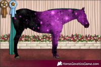 Horse Color:ERROR: UNKNOWN ANOMALY
