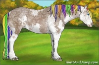 Horse Color:Painted Liver Chestnut Ice Splash 