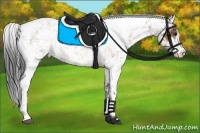 Horse Color:Buckskin Sabino 