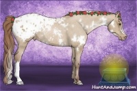 Horse Color:White Spotted Grullo Pearl Blanket Rabicano