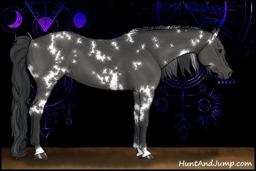 Horse Color:White Spotted Black