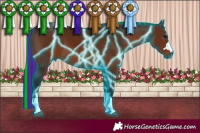 Horse Color:Gray Painted Thunderstruck Bay