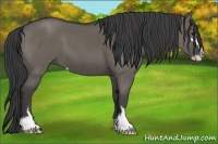 Horse Color:Smoky Grullo Sabino 