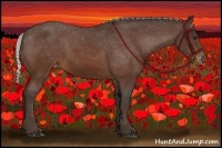 Horse Color:Silver Brown Varnish