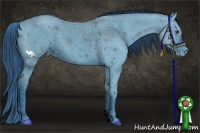 Horse Color:ERROR: UNKNOWN ANOMALY