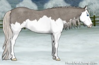 Horse Color:Silver Blue Roan Splash 