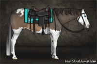 Horse Color:Brown Splash Appaloosa