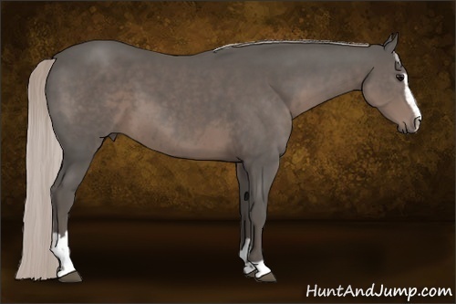 Horse Color:Silver Black Sabino 