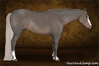Horse Color:Silver Black Sabino 