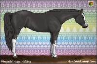 Horse Color:White Spotted Buckskin