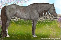 Horse Color:Liver Chestnut Ice Sabino Rabicano